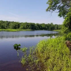 Rancocas Nature Center - Mount Laurel
