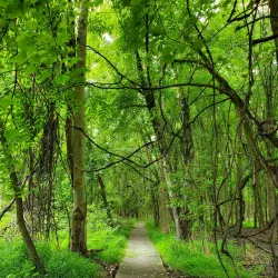 Rancocas Nature Center - Mount Laurel
