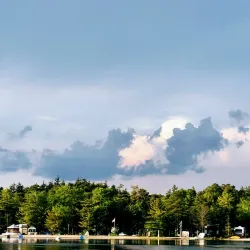 Cedarville State Forest - Mullica Hill