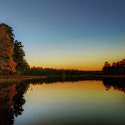 Cedarville State Forest - Mullica Hill