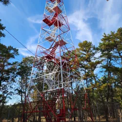 Cedarville State Forest - Mullica Hill