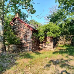 Cedarville State Forest - Mullica Hill