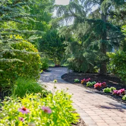 Friends Village at Woodstown - Mullica Hill