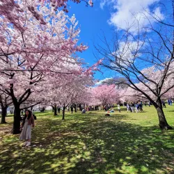 Branch Brook Park - Newark