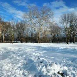 Branch Brook Park - Newark