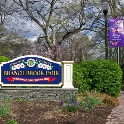 Branch Brook Park - Newark