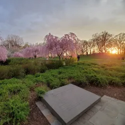 Branch Brook Park - Newark