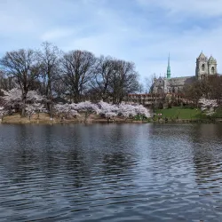 Branch Brook Park - Newark