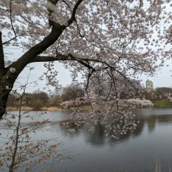 Branch Brook Park - Newark