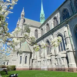 Cathedral Basilica of the Sacred Heart - Newark