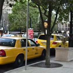 Ironbound District - Newark