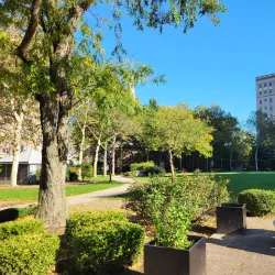 Military Park - Newark