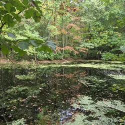 Bicentennial Park - North Brunswick