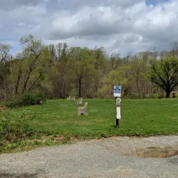 Davidson's Mill Pond Park - North Brunswick
