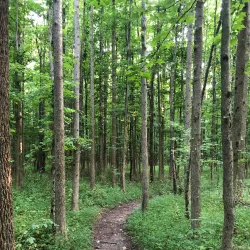 Davidson's Mill Pond Park - North Brunswick