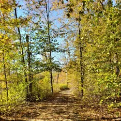 Davidson's Mill Pond Park - North Brunswick