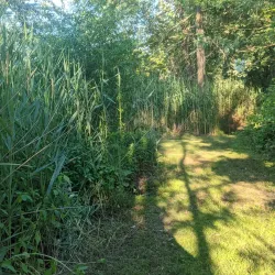 Lawrence Brook Park - North Brunswick