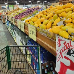 North Brunswick Farmers Market - North Brunswick