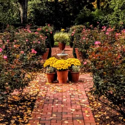 Benson Arboretum - Parsippany-Troy Hills