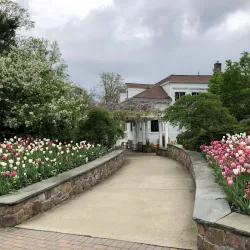 Benson Arboretum - Parsippany-Troy Hills