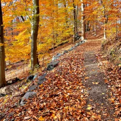 Benson Arboretum - Parsippany-Troy Hills