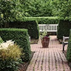 Benson Arboretum - Parsippany-Troy Hills