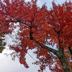 Lake Hiawatha Park - Parsippany-Troy Hills