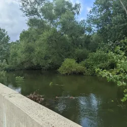 Lake Hiawatha Park - Parsippany-Troy Hills