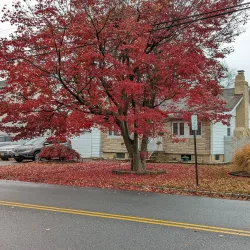 Lake Hiawatha Park - Parsippany-Troy Hills