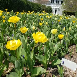 The Frelinghuysen Arboretum - Parsippany-Troy Hills