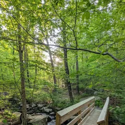 Tourne County Park - Parsippany-Troy Hills