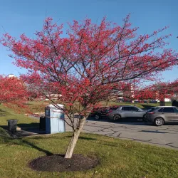 Delaware River - Phillipsburg