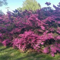 Delaware River - Phillipsburg