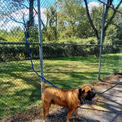 Phillipsburg Skate Park - Phillipsburg
