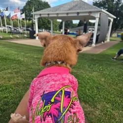 Veterans Memorial Park - Phillipsburg