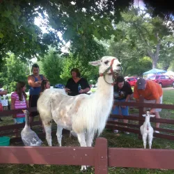 Waterfront Park - Phillipsburg