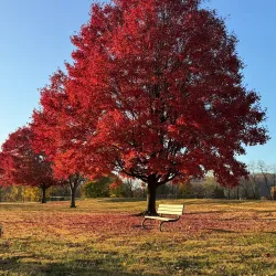 Waterfront Park - Phillipsburg
