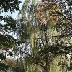 Donaldson Park - Piscataway