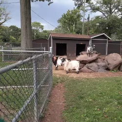 Johnson Park - Piscataway