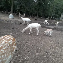 Johnson Park - Piscataway