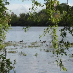 Johnson Park - Piscataway