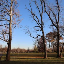 Johnson Park - Piscataway