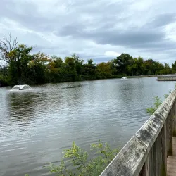 Johnson Park - Piscataway