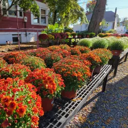 Piscataway Farmers Market - Piscataway