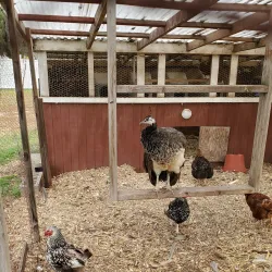 Piscataway Farmers Market - Piscataway