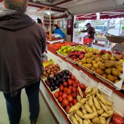 Piscataway Farmers Market - Piscataway