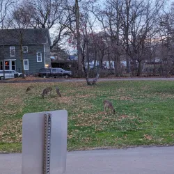 Carnegie Center for the Arts - Plainsboro