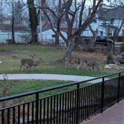 Carnegie Center for the Arts - Plainsboro