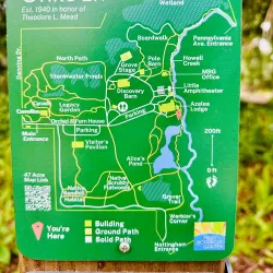 Mead Garden - Plainsboro