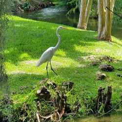 Mead Garden - Plainsboro